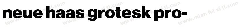neue haas grotesk pro字体转换